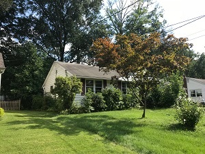 COLES RD BEFORE